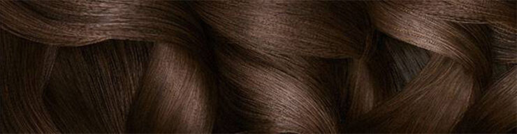 garnier olia hair color 5.0